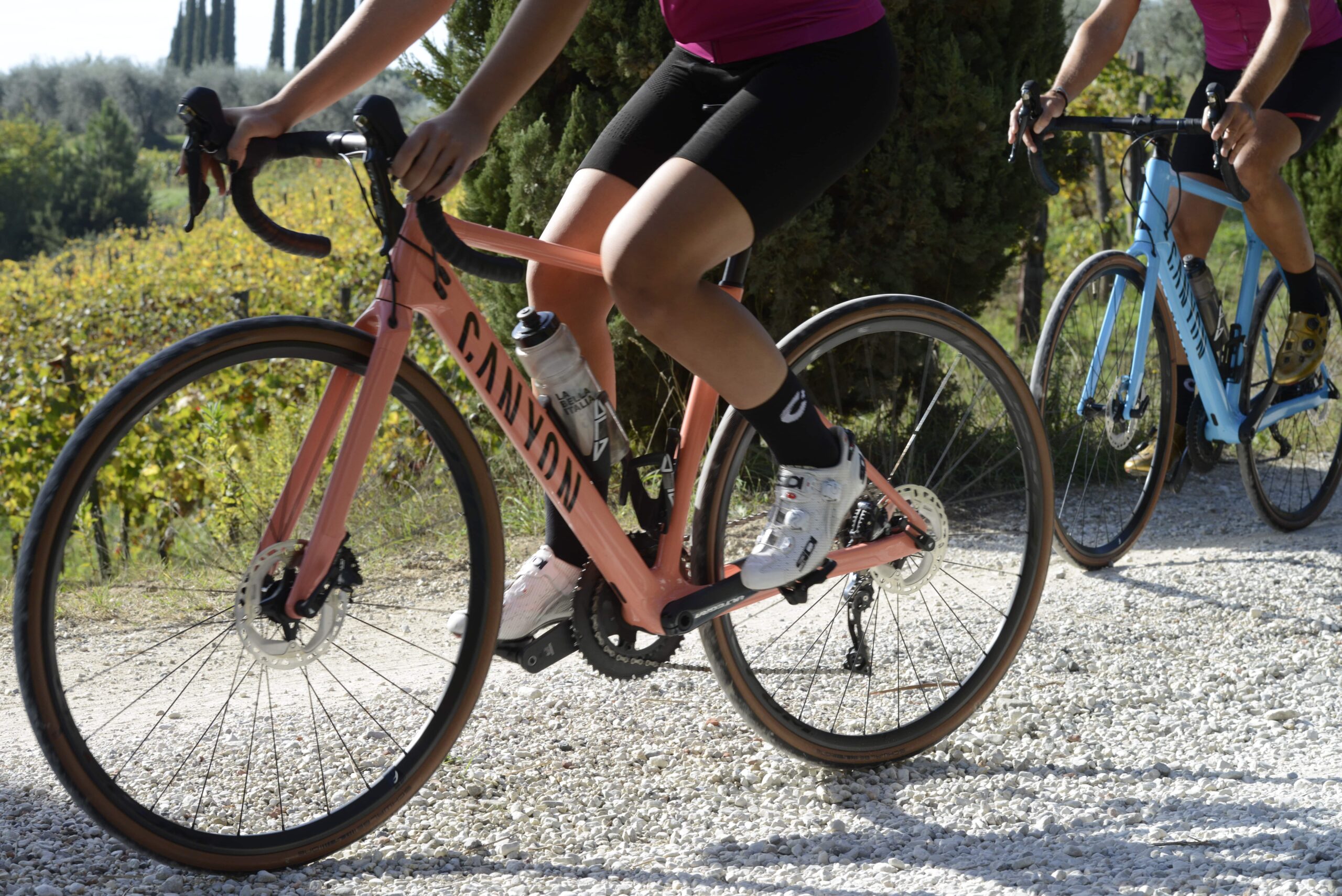 Bike Rental in Siena Ciclismoplus