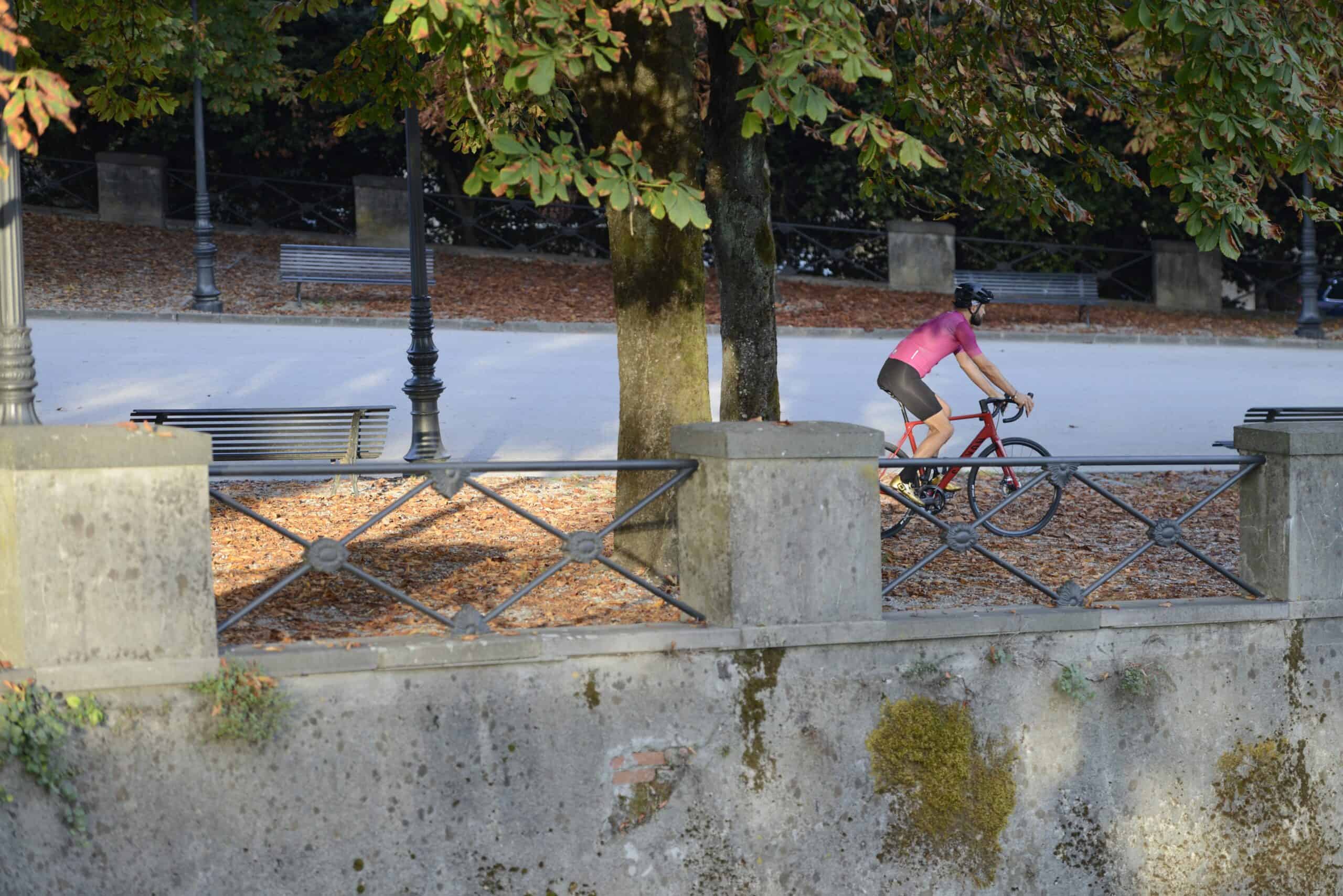 Riding on the Lucca Walls with a bike provided by the bike rental from Ciclismoplus. Best Tuscany Cities for Bike Rentals and Cycling Adventures.